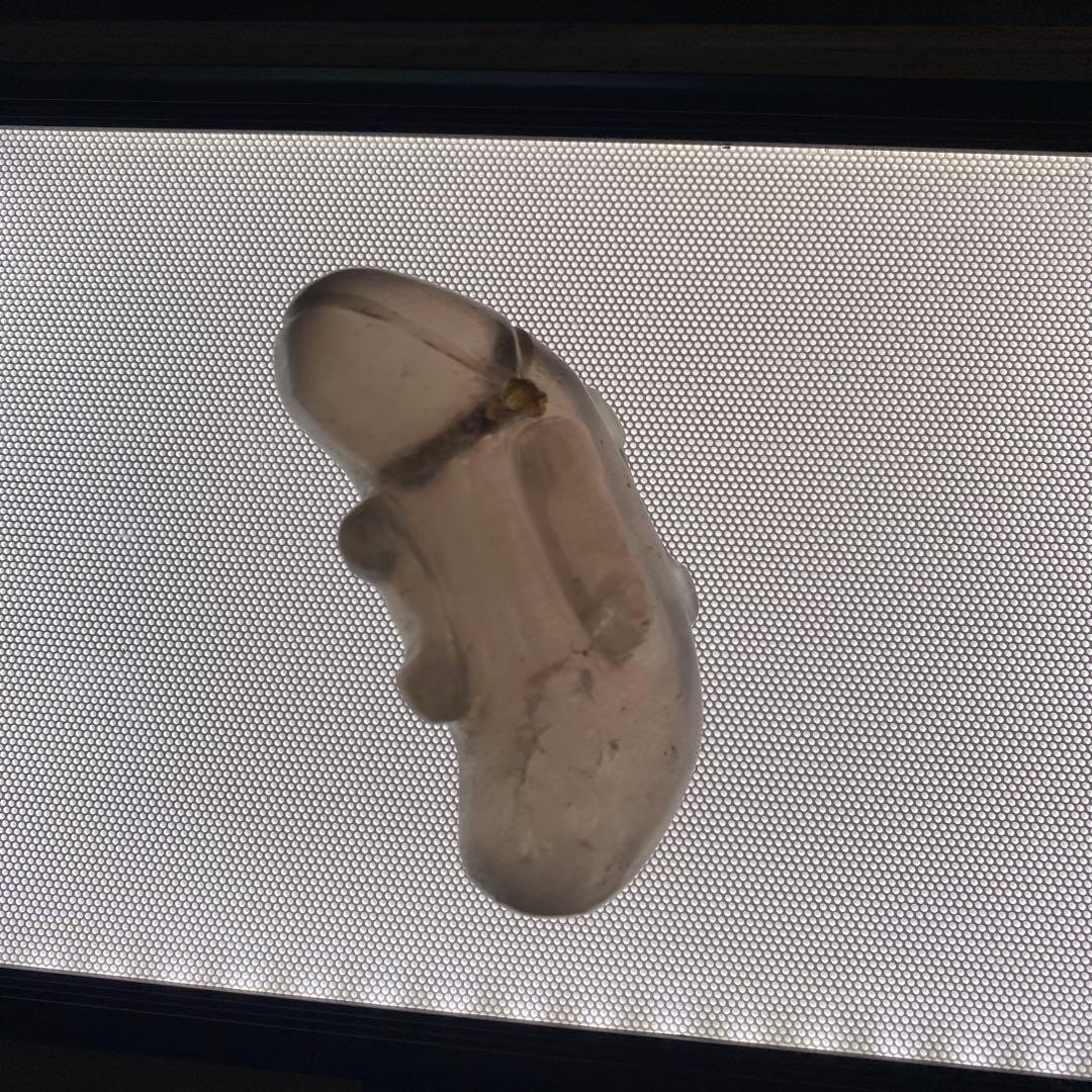 古墳期 煙水晶製 特大型7.5cm 丁字彫り子持ち異形勾玉｜伝 奈良県橿原市出土