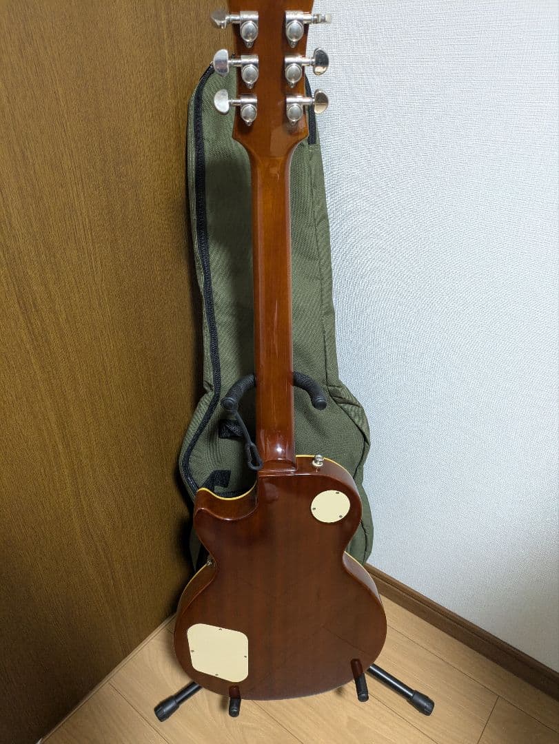 ギター Epiphone Les Paul Standard Plus Top Pro