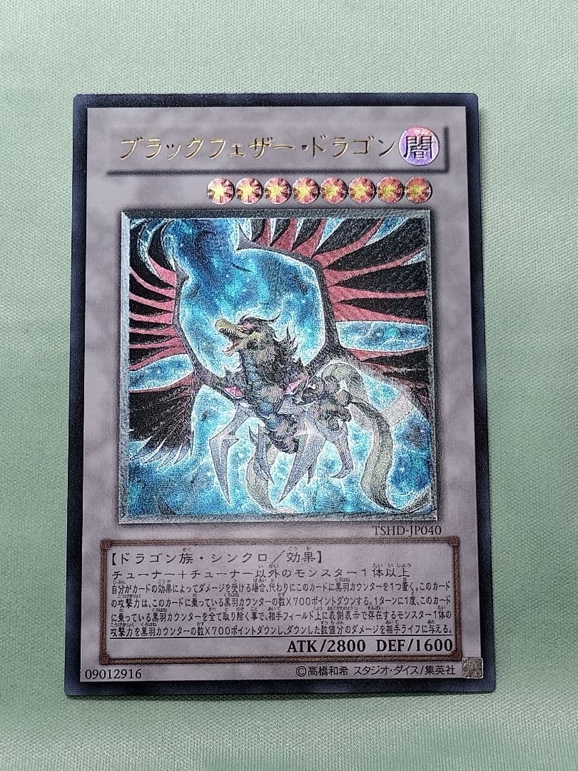 １軍コレ『完美品級』ブラックフェザードラゴン　レリーフ