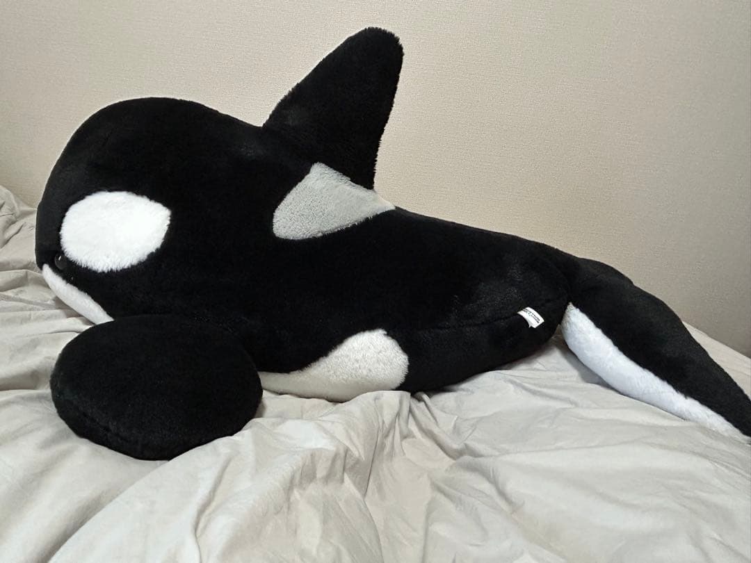 シャチくじ　特賞　特等　ぬいぐるみ　名古屋港水族館　100cm