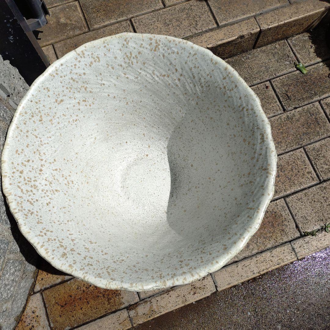 信楽焼　手作りめだか鉢　水連鉢　ビオトープ　直径55㌢