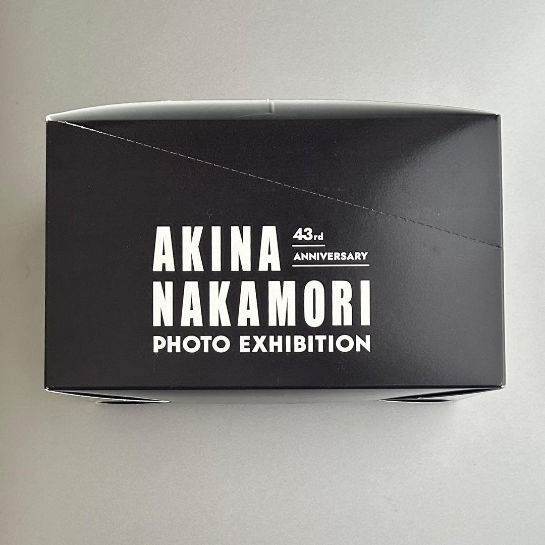 レイ様　中森明菜　アクリルキーホルダー 全20種大阪限定　コンプリートジャケット