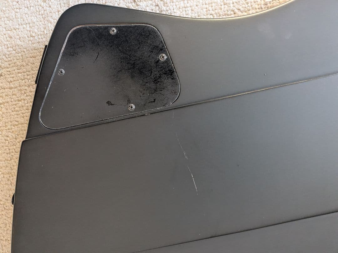 Epiphone ブラックバード　ニッキーシックス　サンダーバード