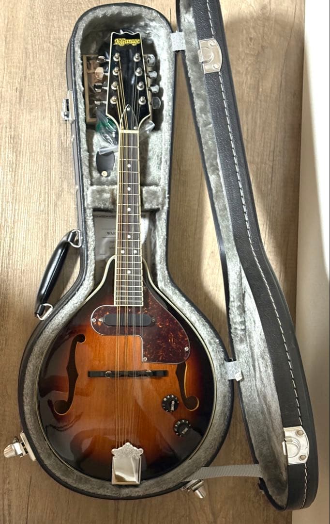 toky様用　【美品】エレキ　マンドリン