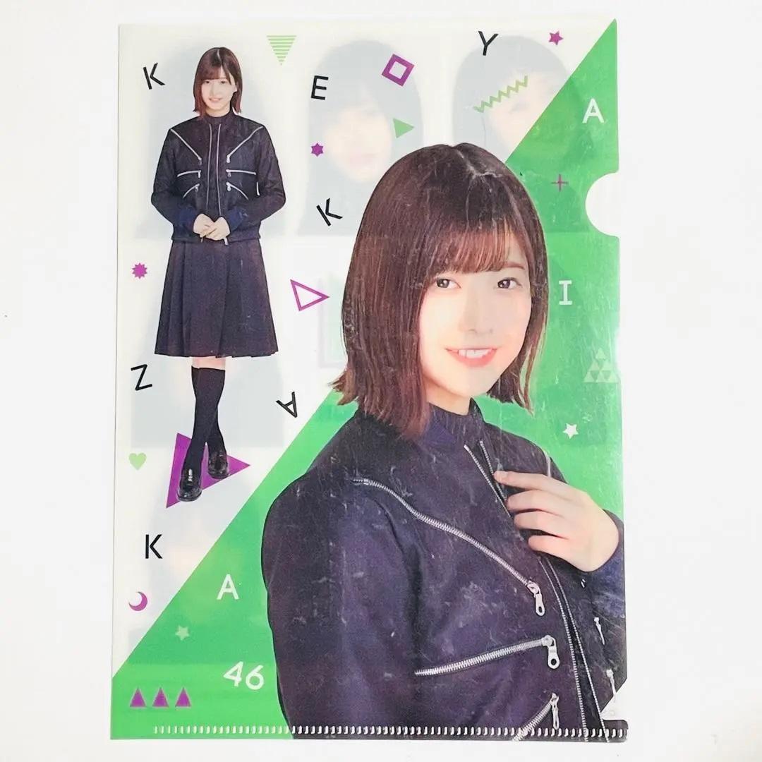欅坂46 日向坂46 クリアファイル ポストカード