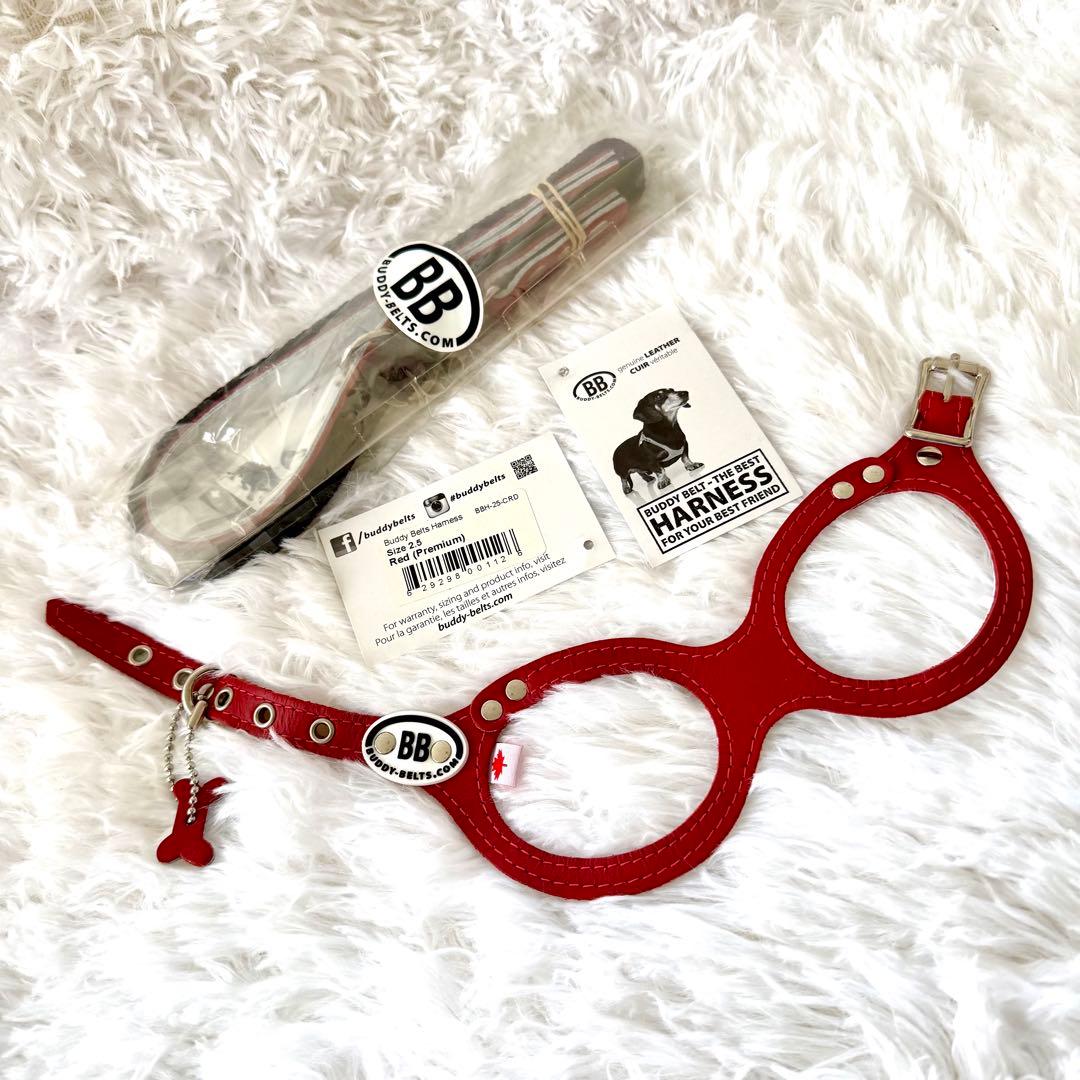 [新品] BBベルト 2.5号 ハーネス+リード セット　 *レッド