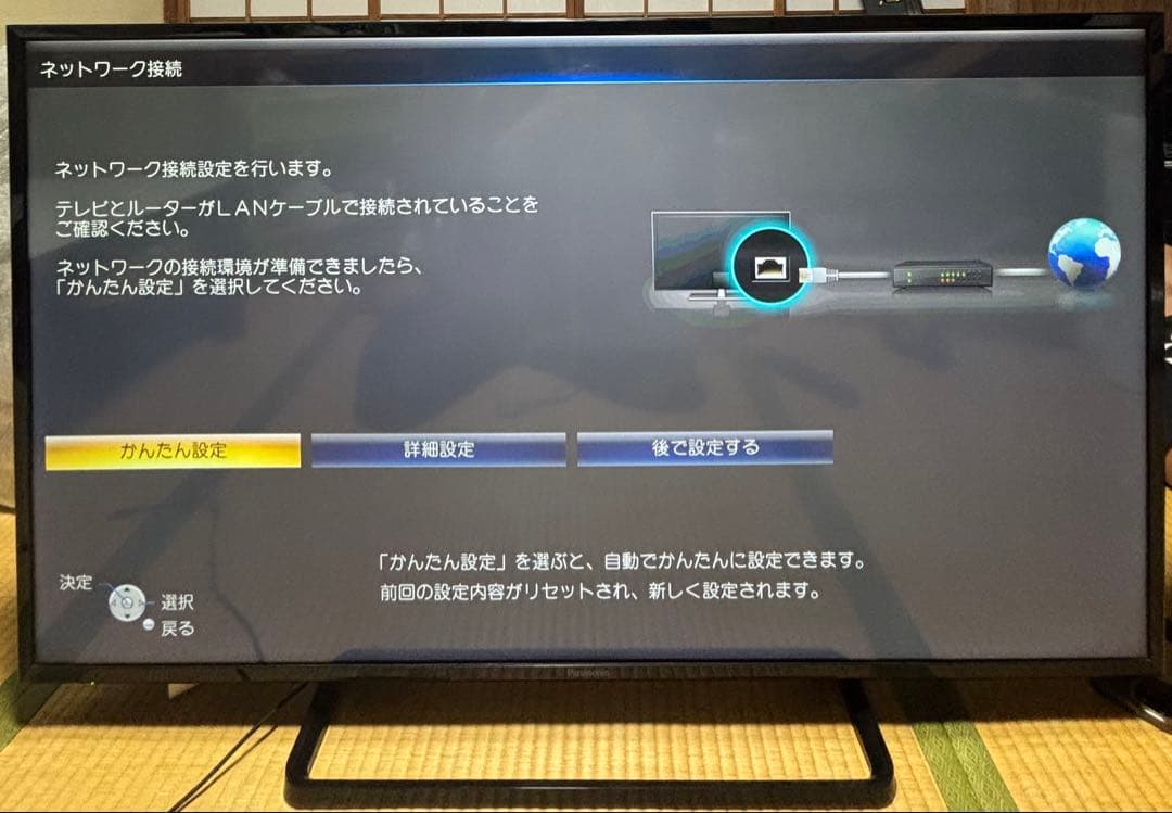 Panasonic TH-49E300HT 49インチ液晶テレビ【中古品】