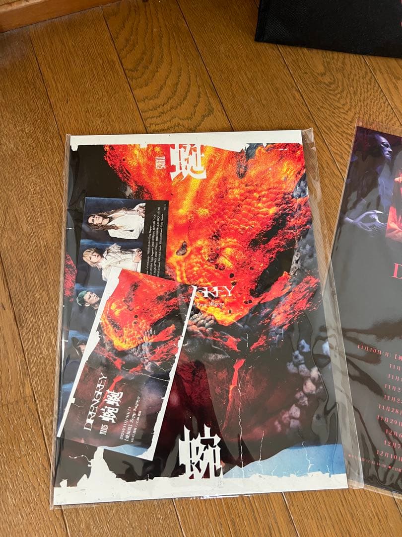 DIRENGREY TOUR25 蜿蜒 THE MORTAL CHAPTER 0