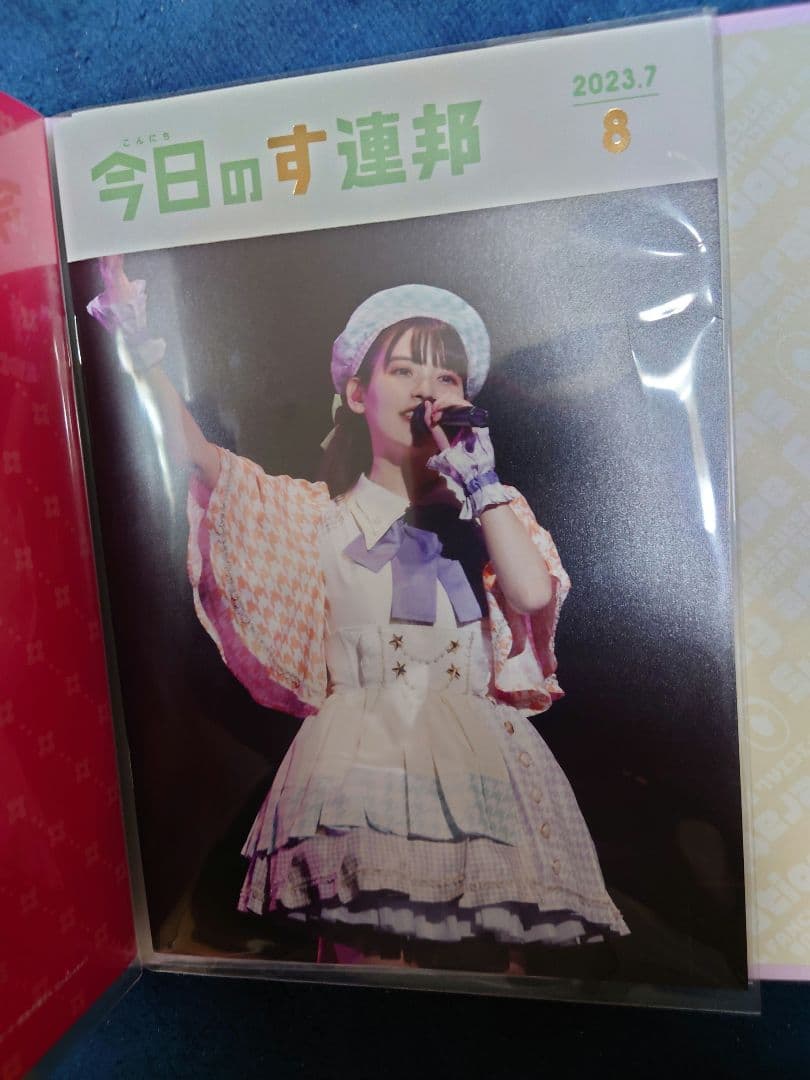 上坂すみれ ファンクラブ会報誌 全11部 専用バインダー付属