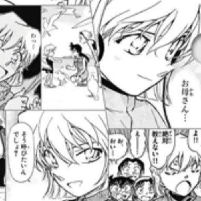 ★プレミアムナイト★ 灰原哀 クリアファイル 限定品