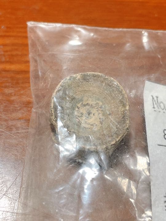 800年前のサメの背骨の化石