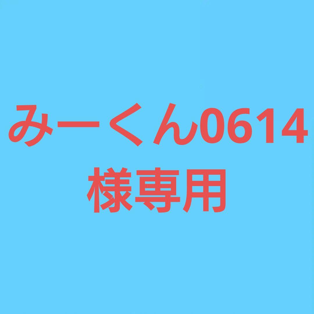 ★(みーくん！)トップグレードレインボーアンデシン 16.5ミリ珠ビーズF