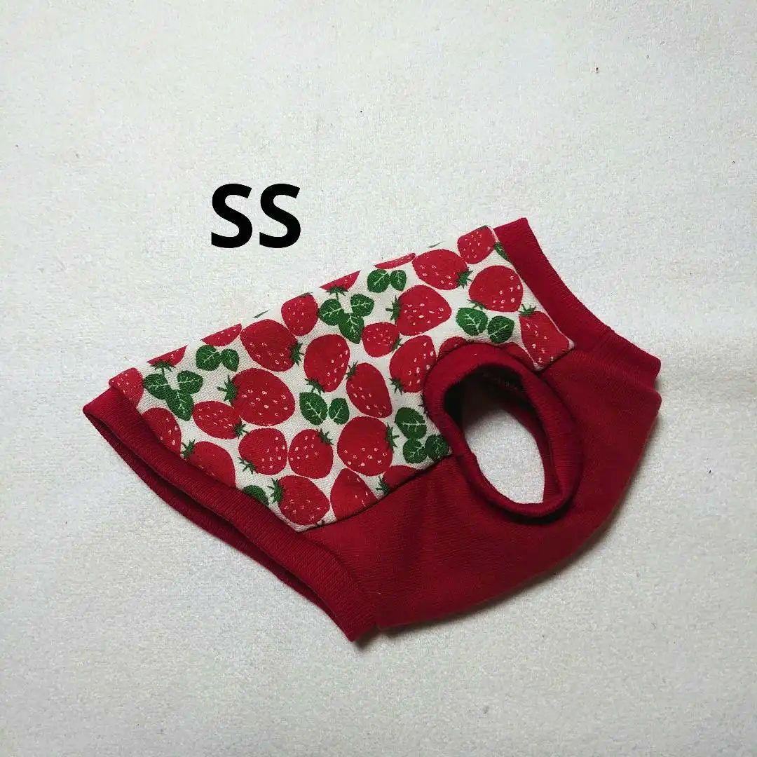 犬服 SS わんこの普段着　ごろっといちご