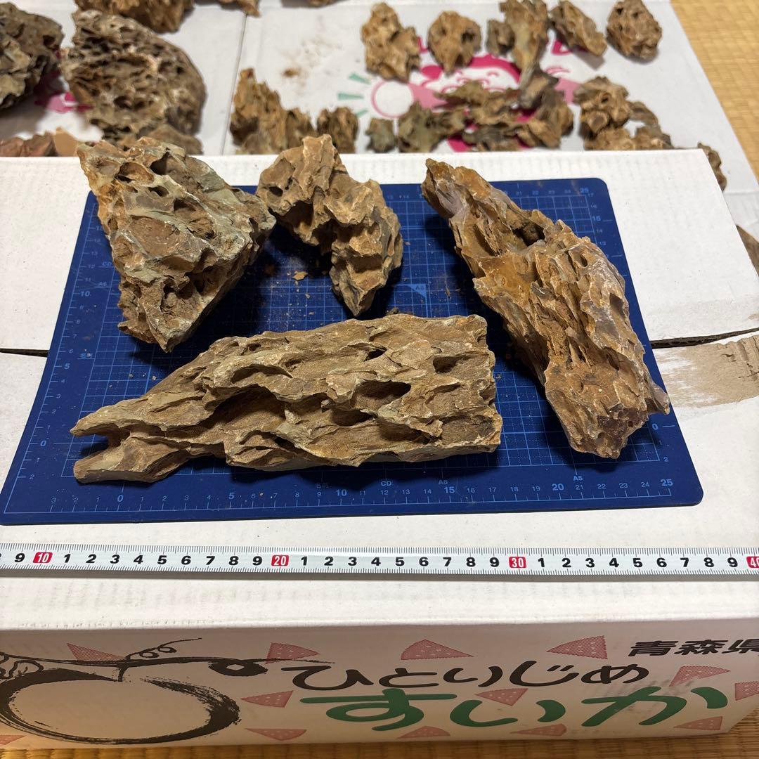 黄虎石　まとめ売り