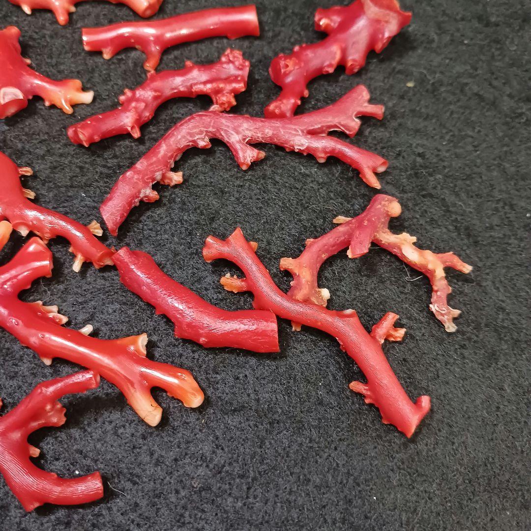 赤珊瑚 原木 枝 16点 総重量99.2g　ね