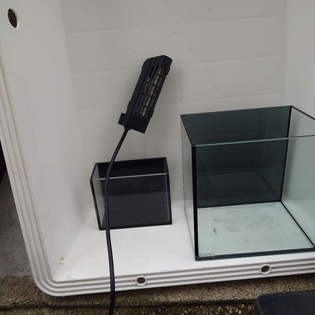 プラスチック水槽 大 ヒーター付き