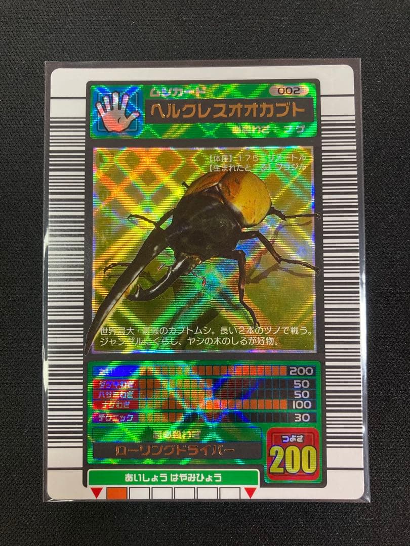 またこ ヘルクレスオオカブト2003 SPRING春 学名黒バーコードキラ