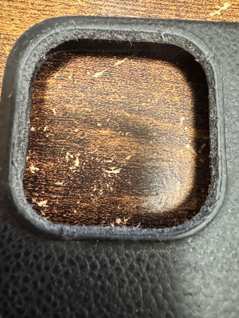 Louis Vuitton iPhone15PROケース M89839