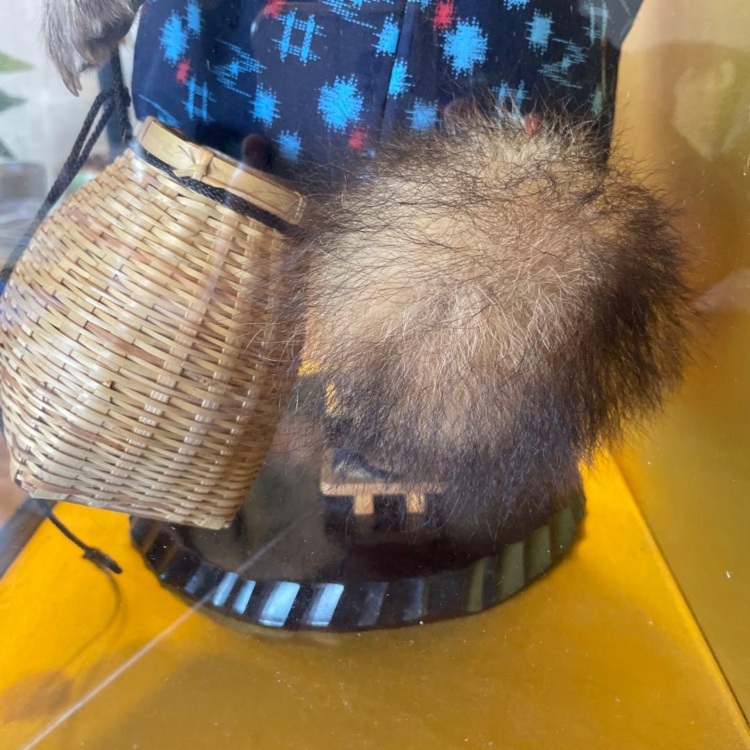 釣り師狸（タヌキ）置物/ たぬきの剥製