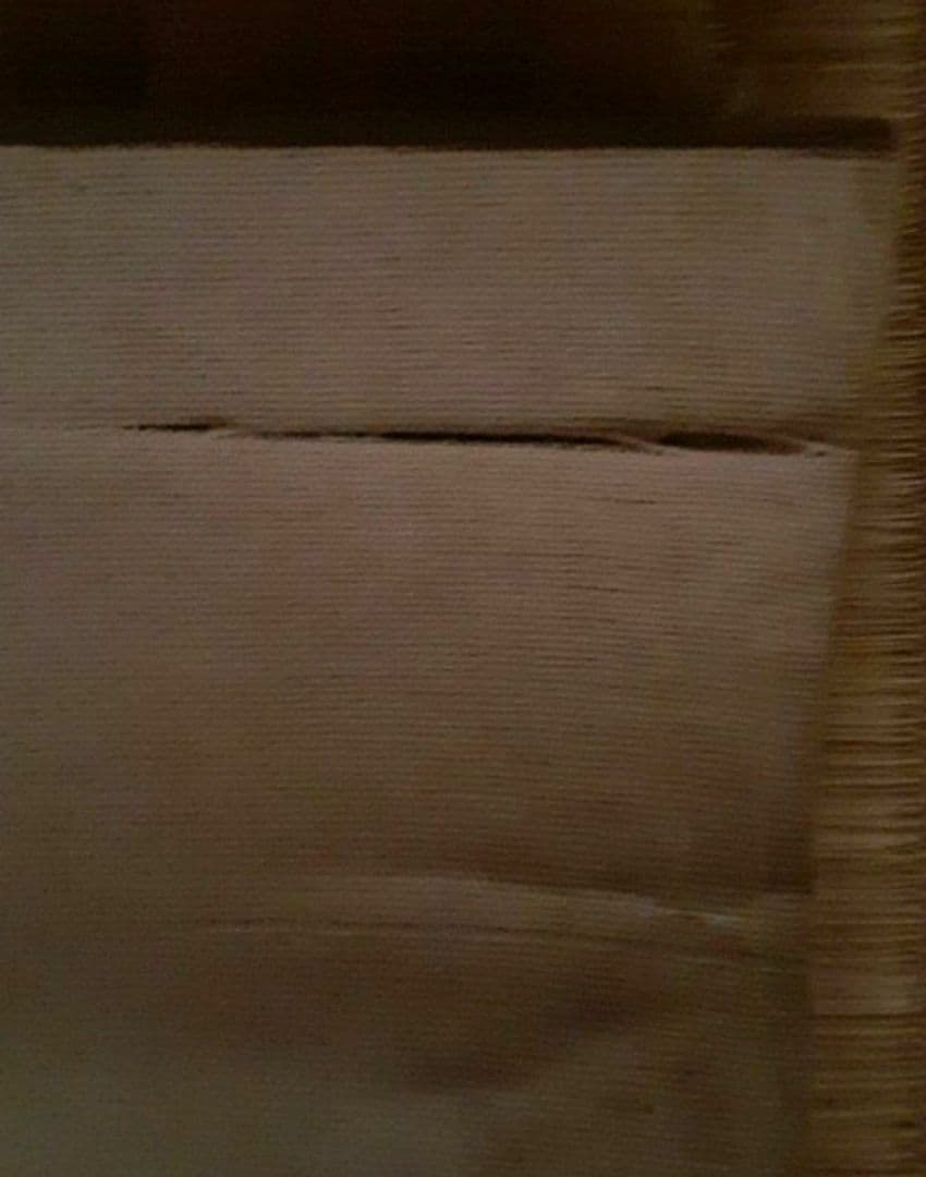 掛け軸/秋風景？/富士？