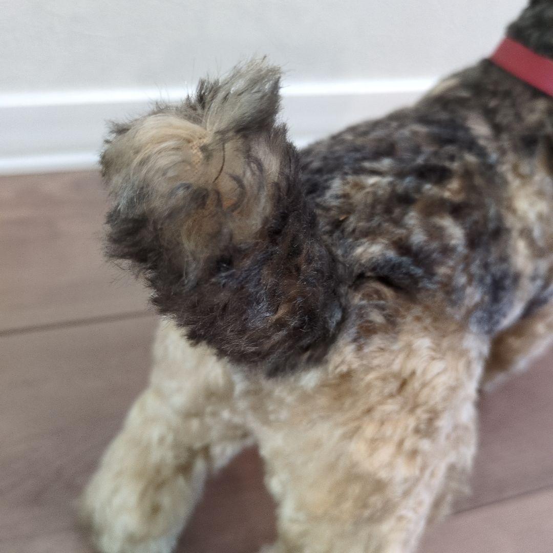 steiff シュタイフ　テリア