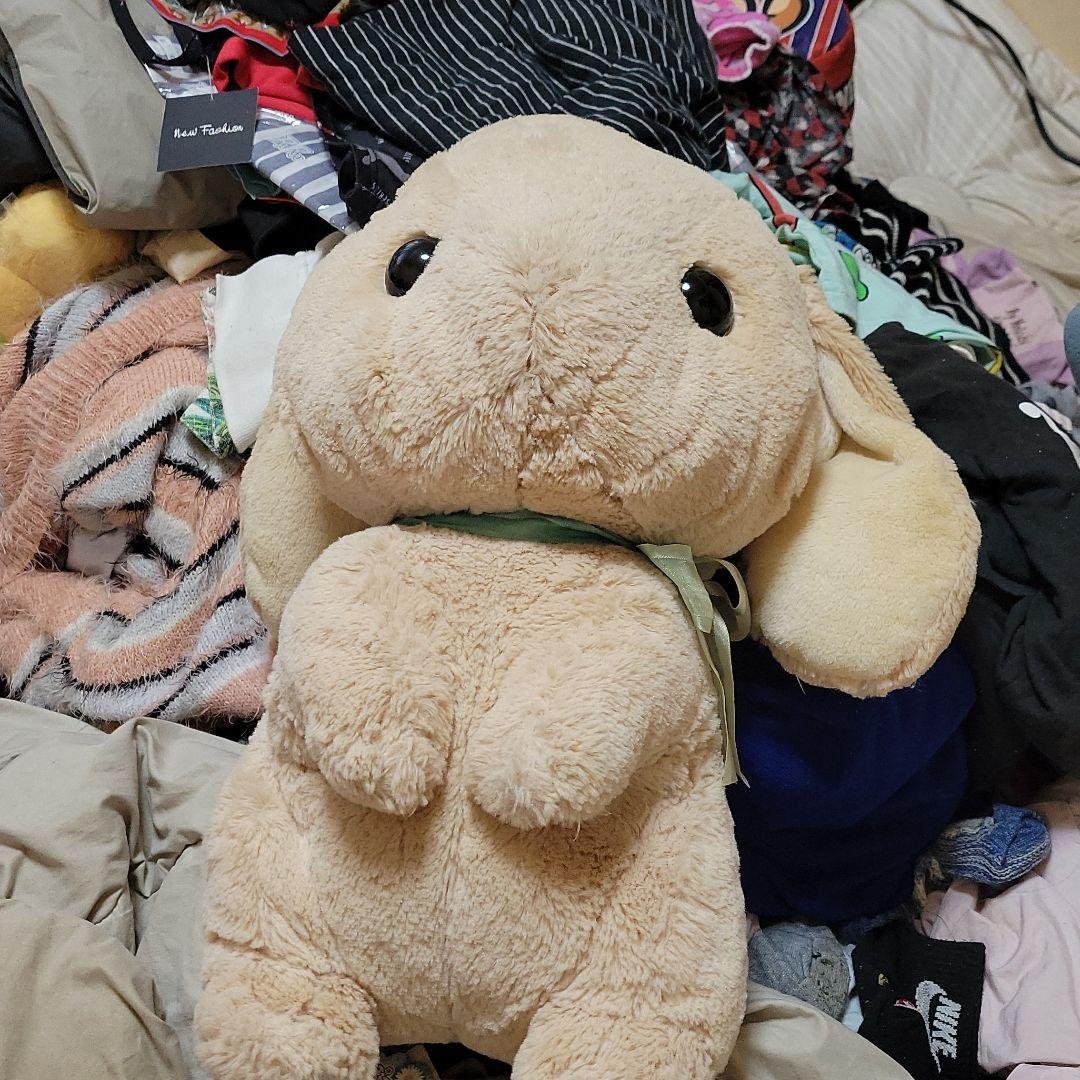うさぎのぬいぐるみ
