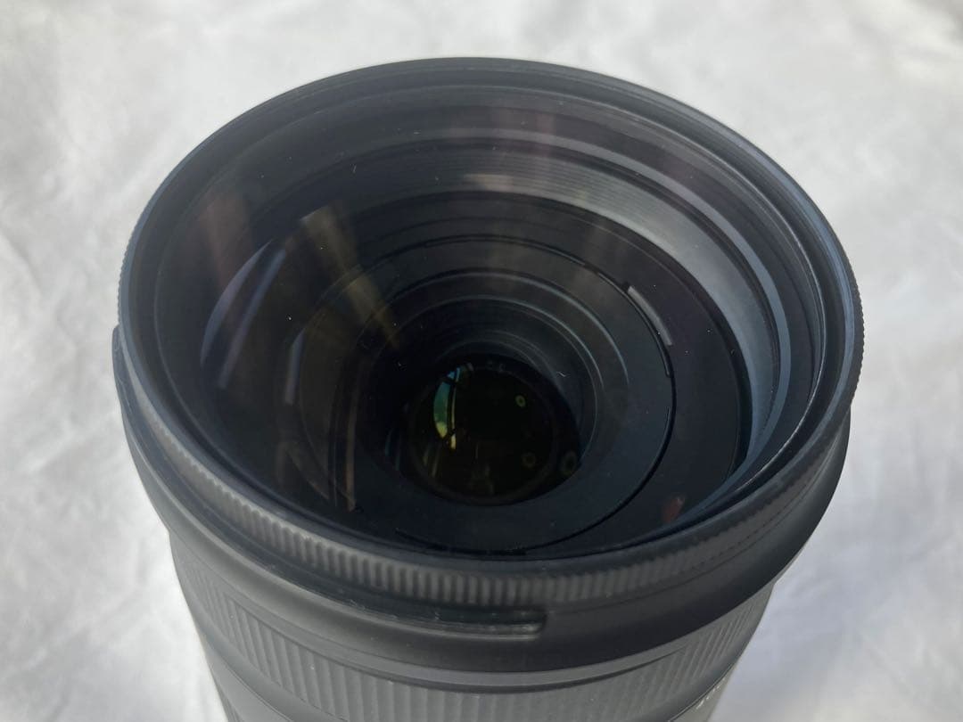 ◎Maple ◎TAMRON 18-400mm F/3.5-6.3