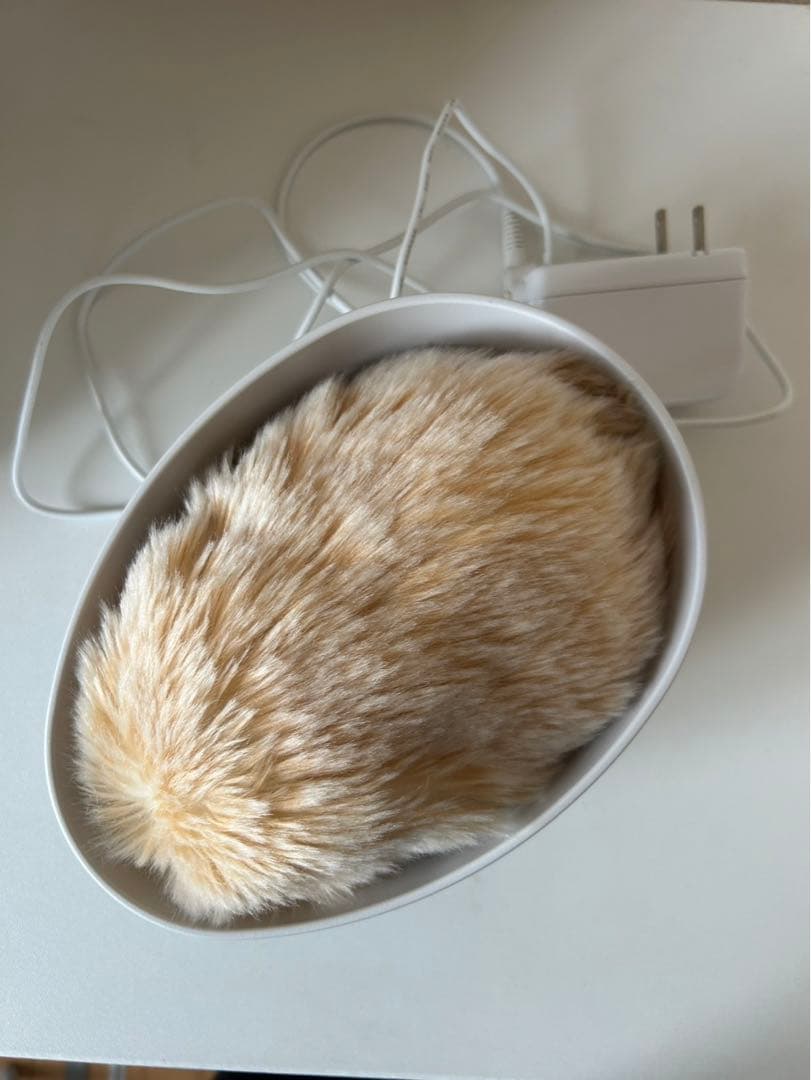 モフリン　moflin CACIO