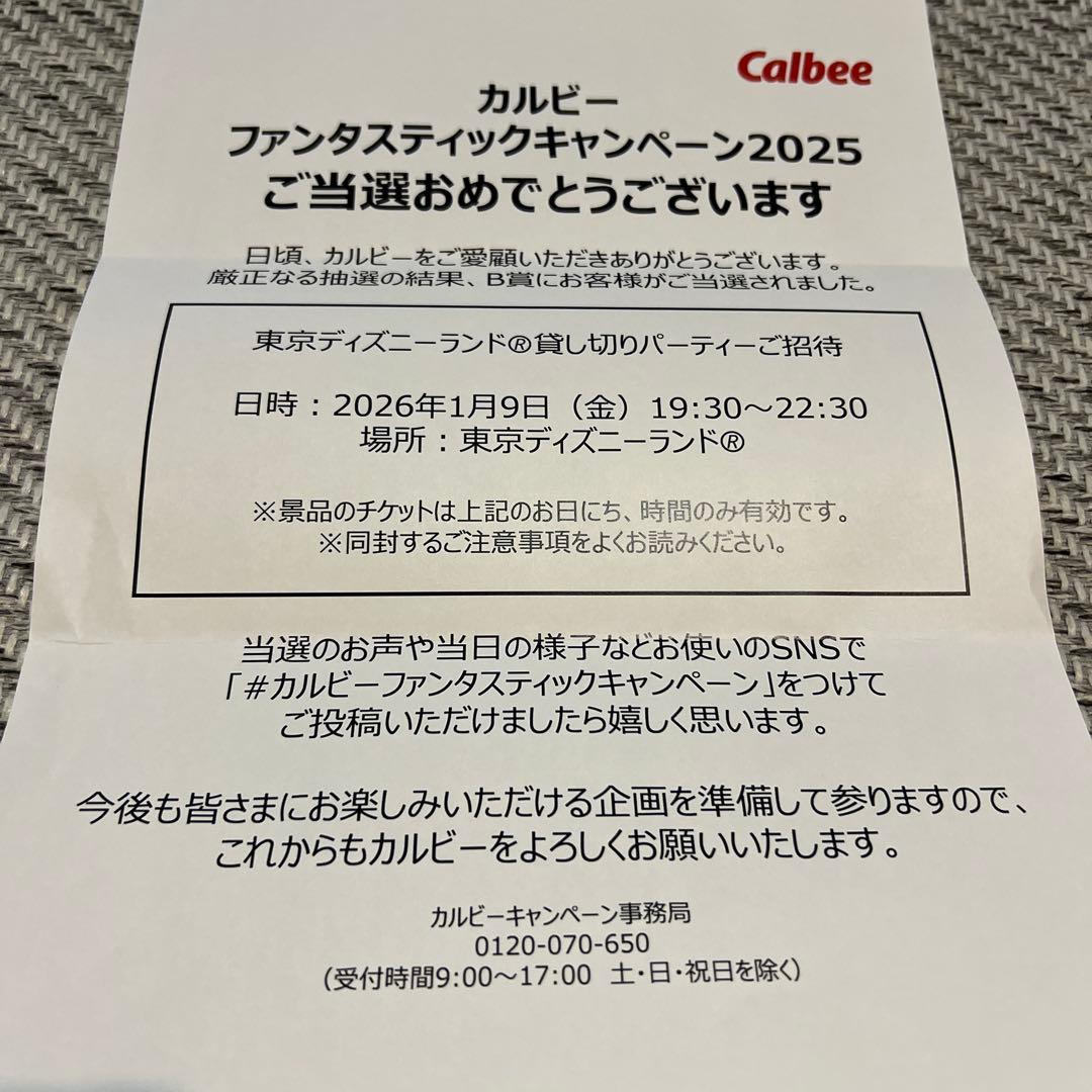 ✴︎緊急値下げ✴︎ディズニーランド 貸切2025