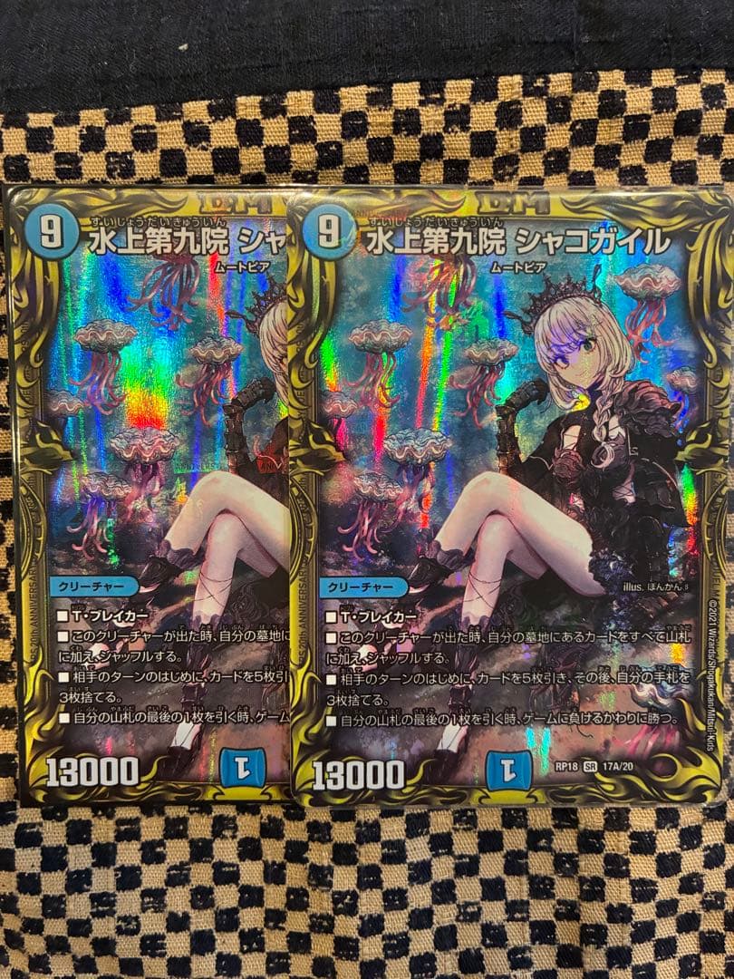 水上第九院シャコガイル a 2枚