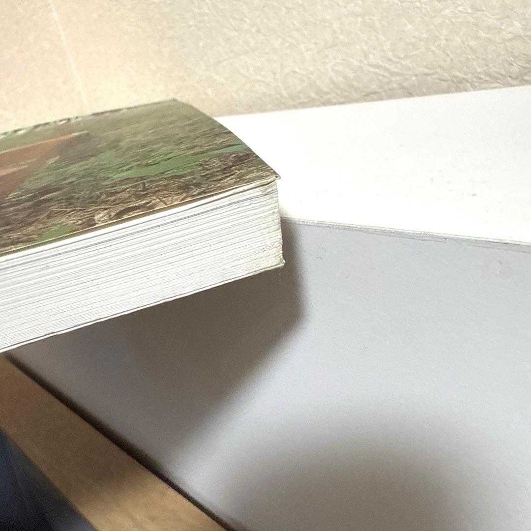 デンマークの椅子　ハンス・ウェグナー　フィン・ユール　織田憲嗣