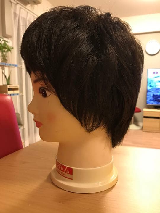 ウィッグ（人毛）12万円　ネット付き（未使用）