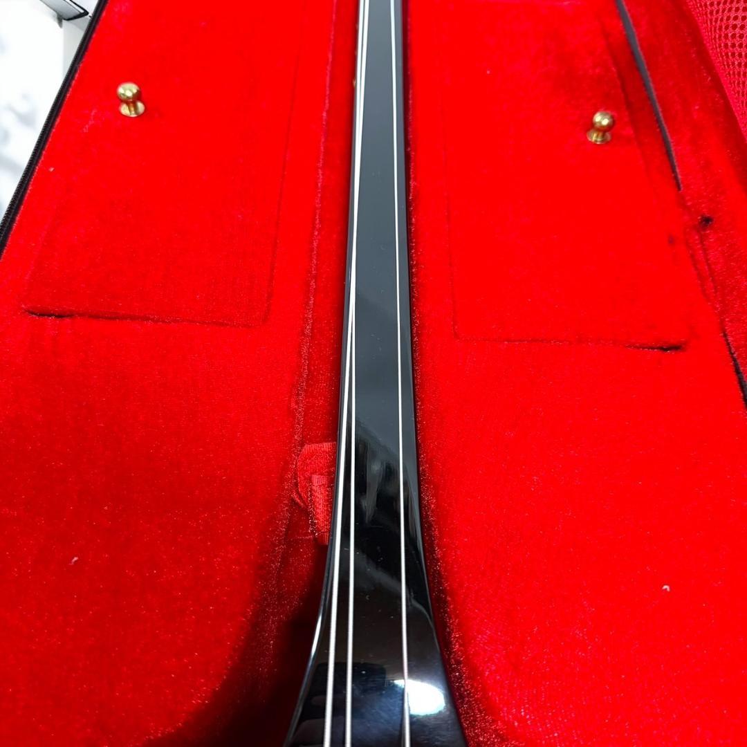 ☆美品 沖縄 琉球 三線 本蛇革 本革 蛇革 本皮 蛇皮 爪 ケース付 伝統楽器