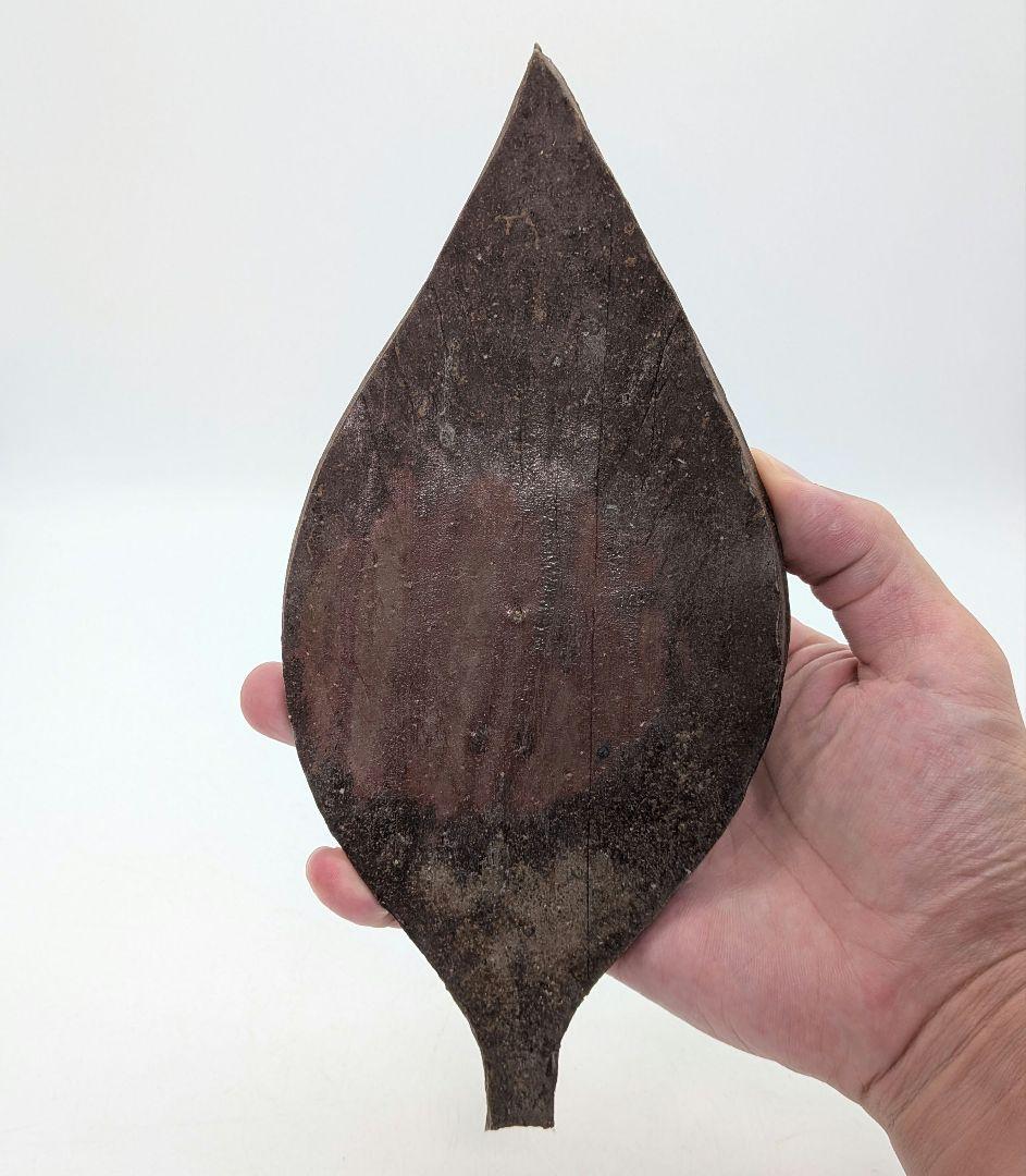 藤原陶臣 備前焼 葉皿5客 共箱 食器 菓子皿 菓子器 取り皿 銘々皿 緋襷