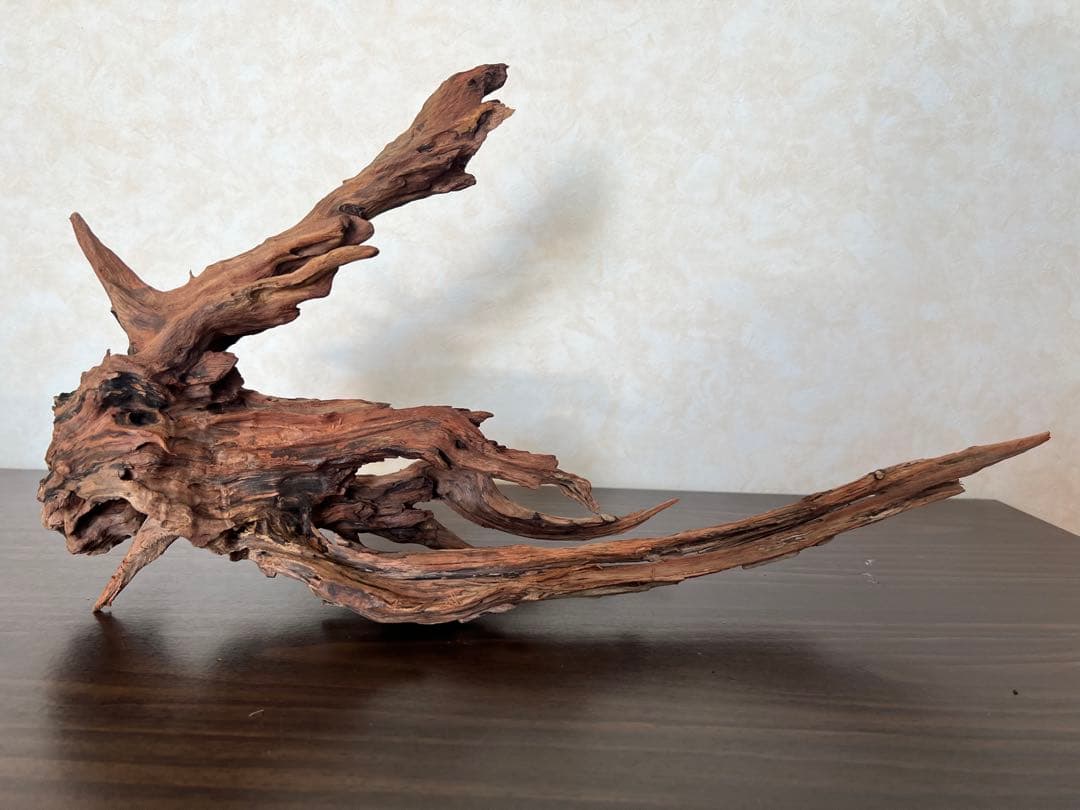 HX-013 流木　ホーンウッド　マシンガンウッド　アクアリウム　ブランチウッド