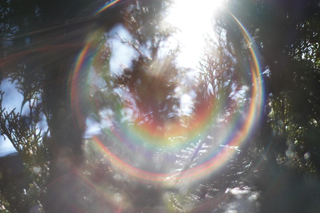 美品・作例有 PENTAX Super Takumar 55mm f1.8 後期