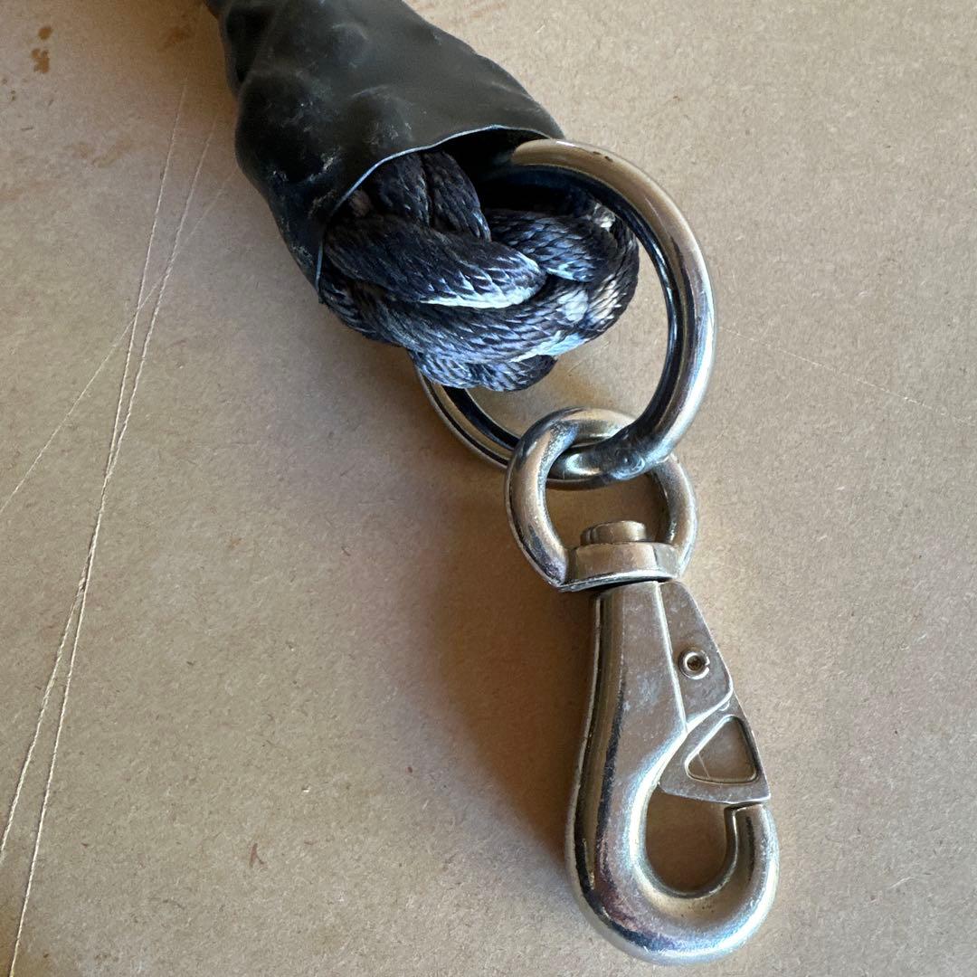 土佐犬　土佐闘犬　超大型犬　化粧引き綱　黒