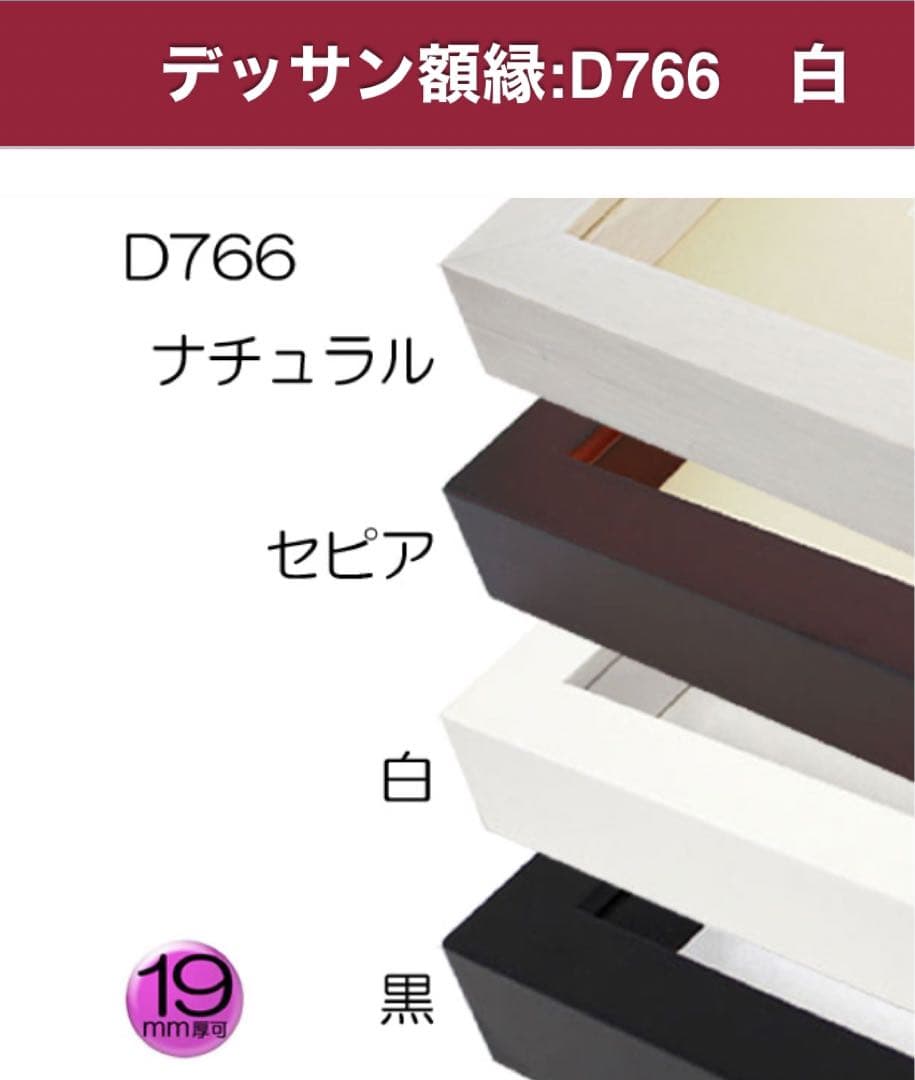 2個セット ラーソンジュール白 大衣 デッサン額 立体額