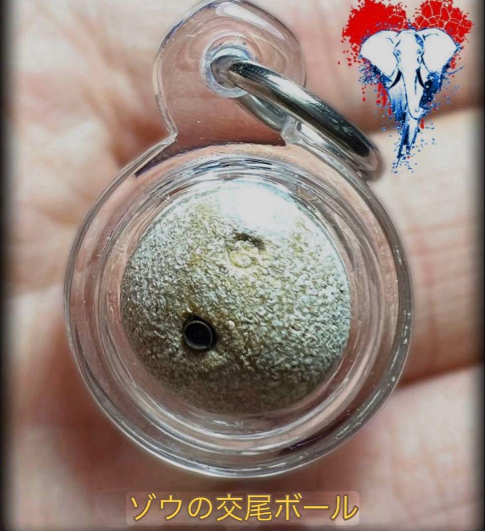 【専用】 象の交尾ボール　強い力愛心魅力 プラクルアン