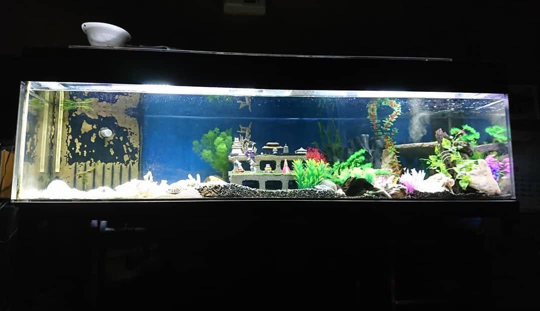 2mガラス水槽1式 上部ろ過