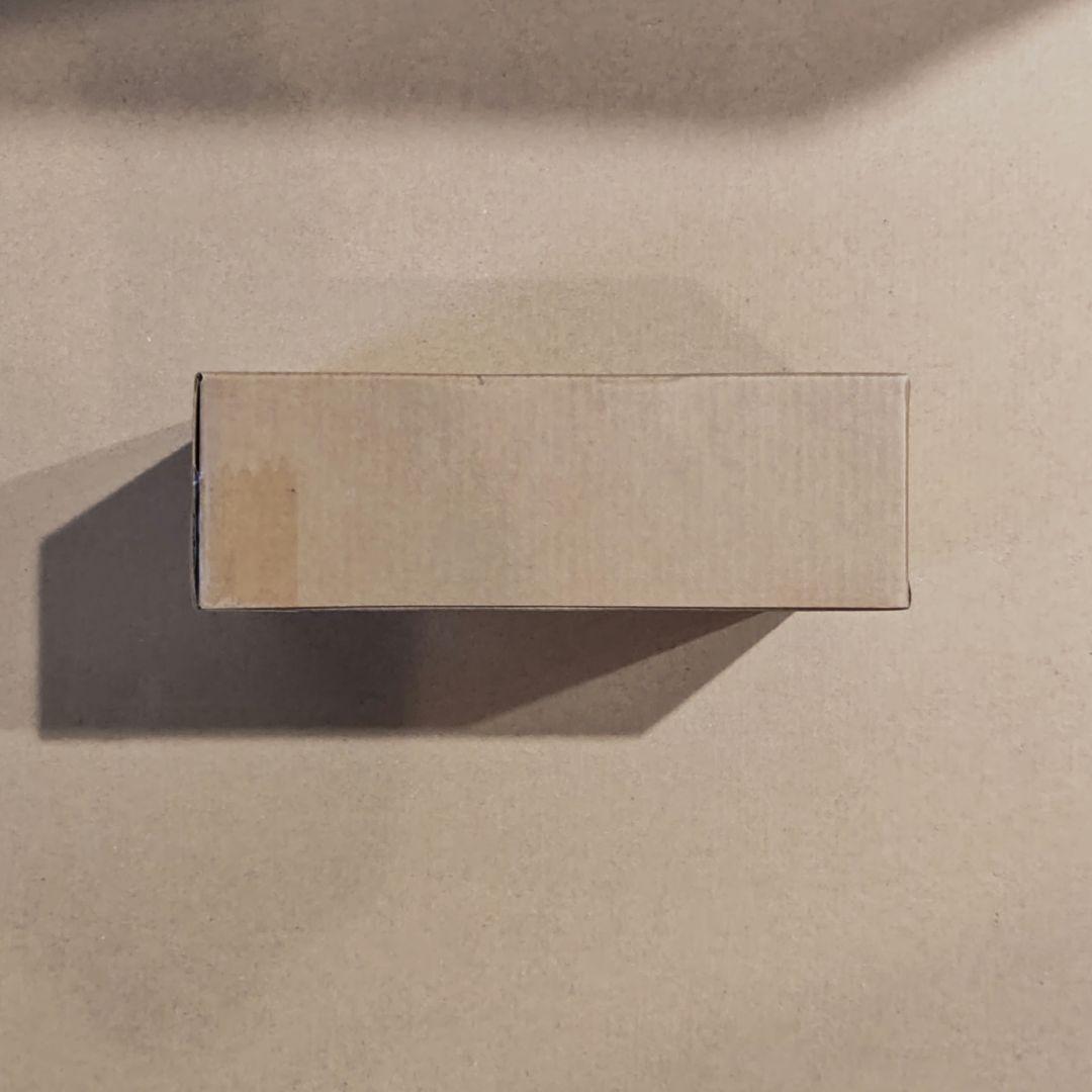 S.H.Figuarts 真骨彫製法 仮面ライダー1号 桜島 栄光の昭和ライダー