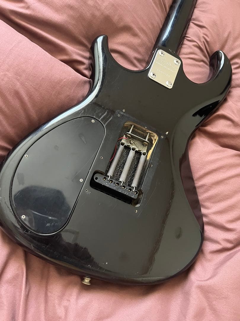 【調整済】Ariaproii アリアプロ　WILDCAT DX ギター　訳有