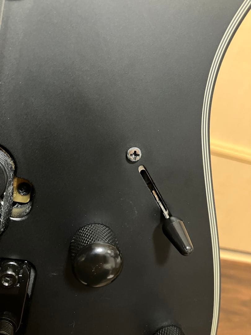 Ibanez 7弦ギター RG7320EX-BKF [SPOT MODEL］