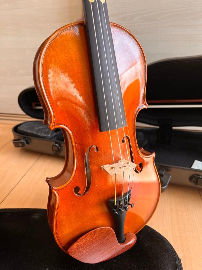 Pyroviolin 4/4バイオリン本体Gewaケース付き