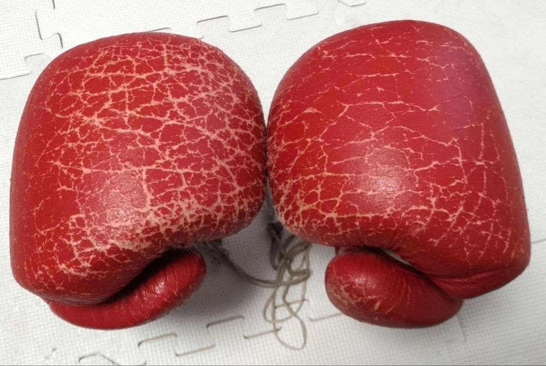 Winning 14ozソフトタイプ紐式ボクシンググローブ