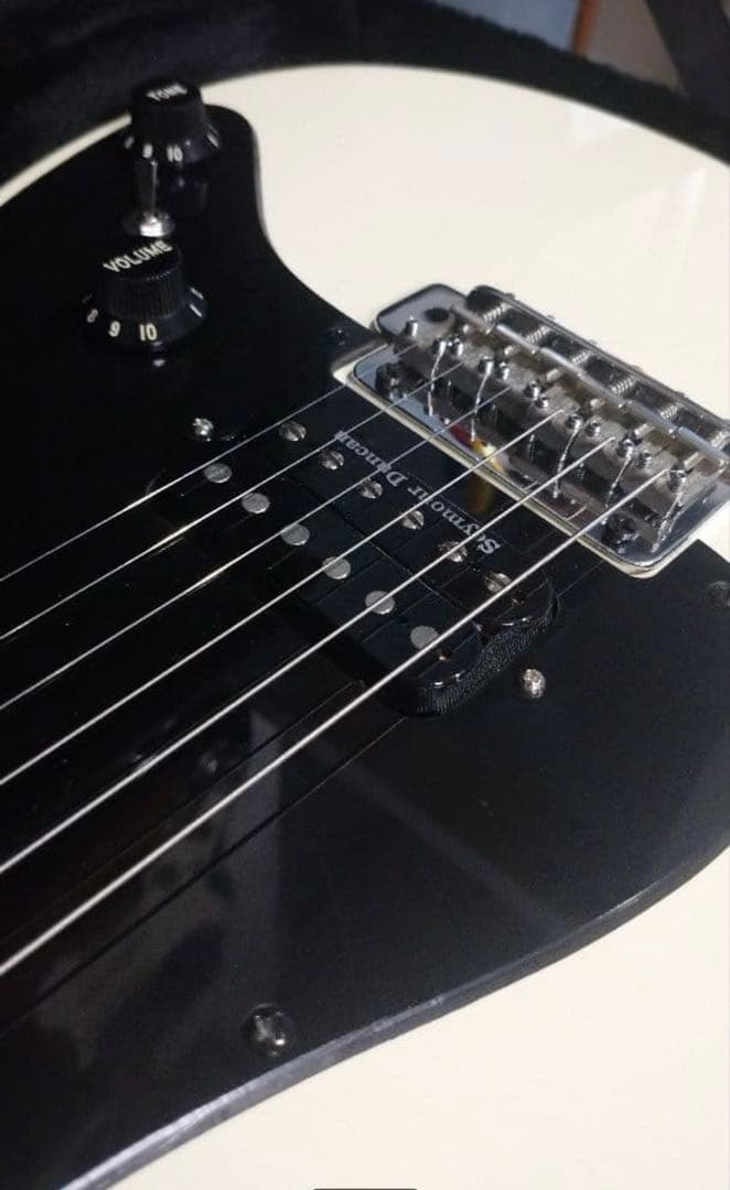 FERNANDES 　STC-50　Allan Holdwarth