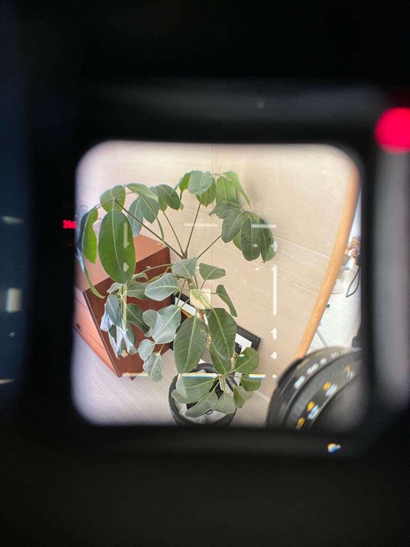 【Shiori】　New Mamiya6 MF レンズ３本セット マミヤ6