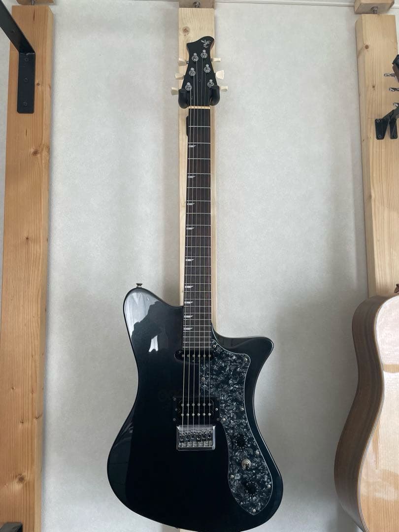 【保証書•純正ソフトケース】RYOGA SKATER/LE LBK